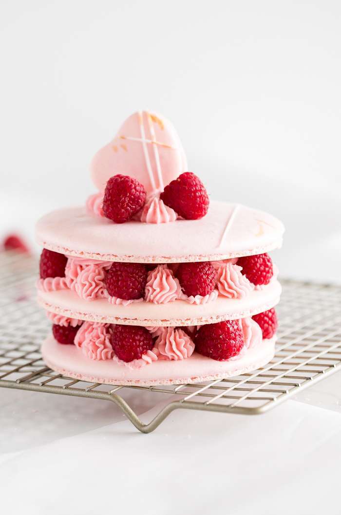 raspberry_macarons_italian_meringue_instructions_recipes_cake_gluten_free_baking_dairy_free