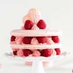 raspberry_macarons_italian_meringue_instructions_recipes_cake_gluten_free_baking_dairy_free