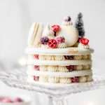 a recipe for cranberry vanilla macaron cake, for Christmas and the holidays dairy and gluten free