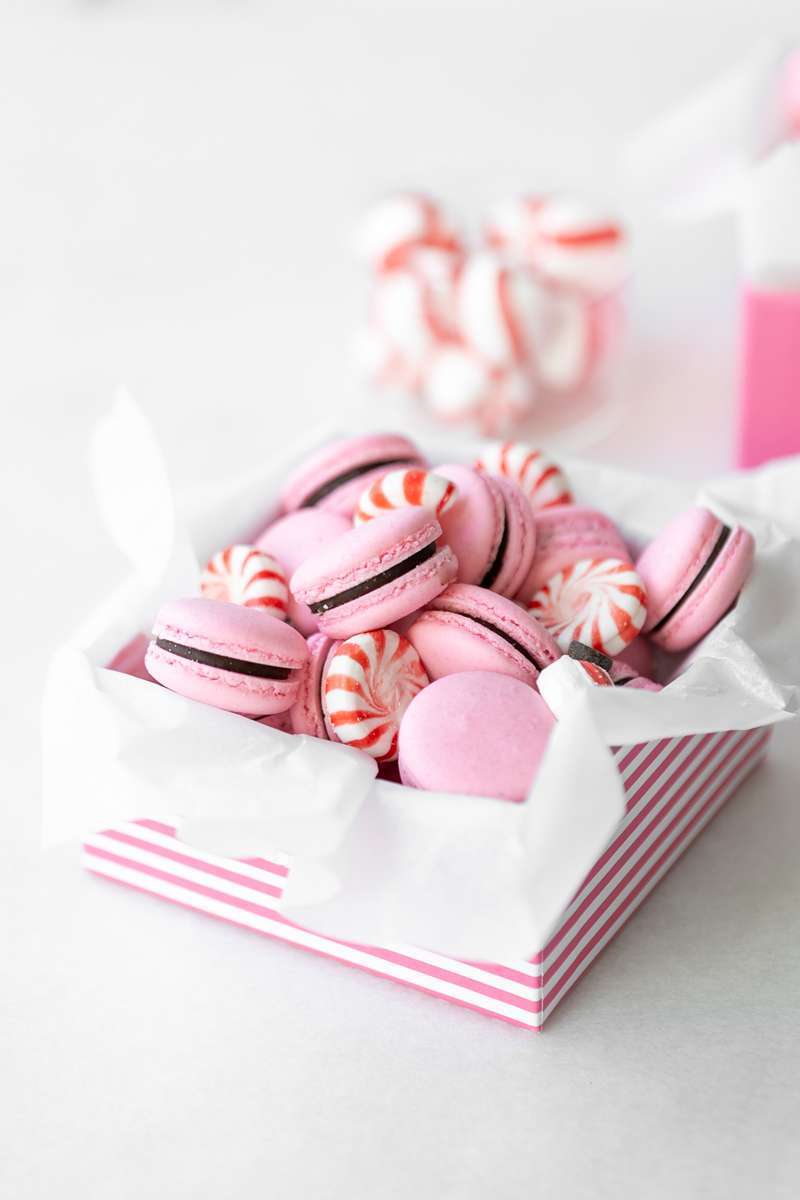 recipe for chocolate peppermint French macarons with chocolate ganache for the holiday season.