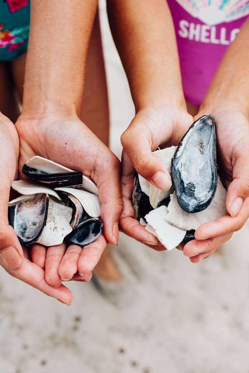 Pacific City, Oregon Coast, Beach travel destinations, seashells