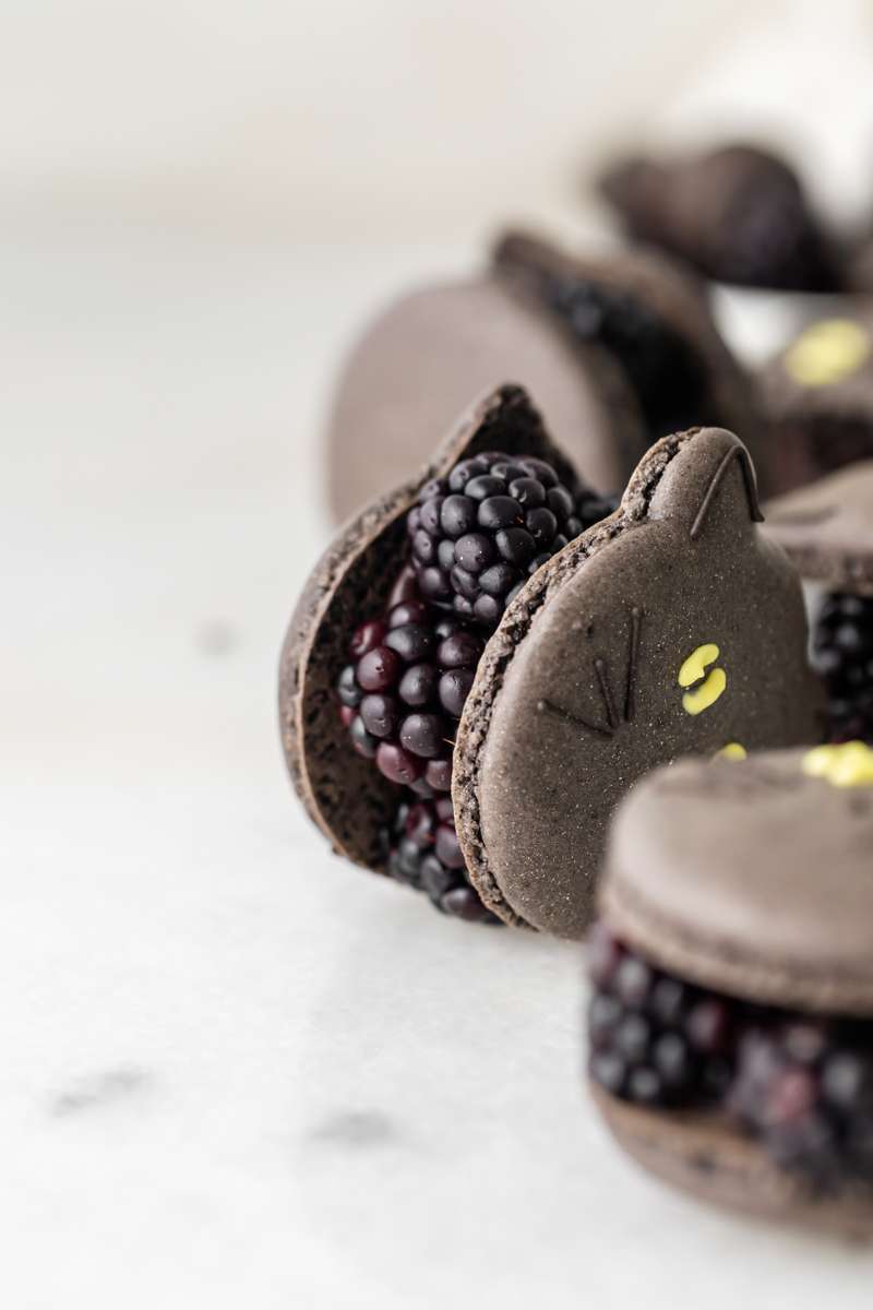 blackberry cat macarons for halloween, made with fresh blackberries, and dark chocolate ganache. Recipe and video.