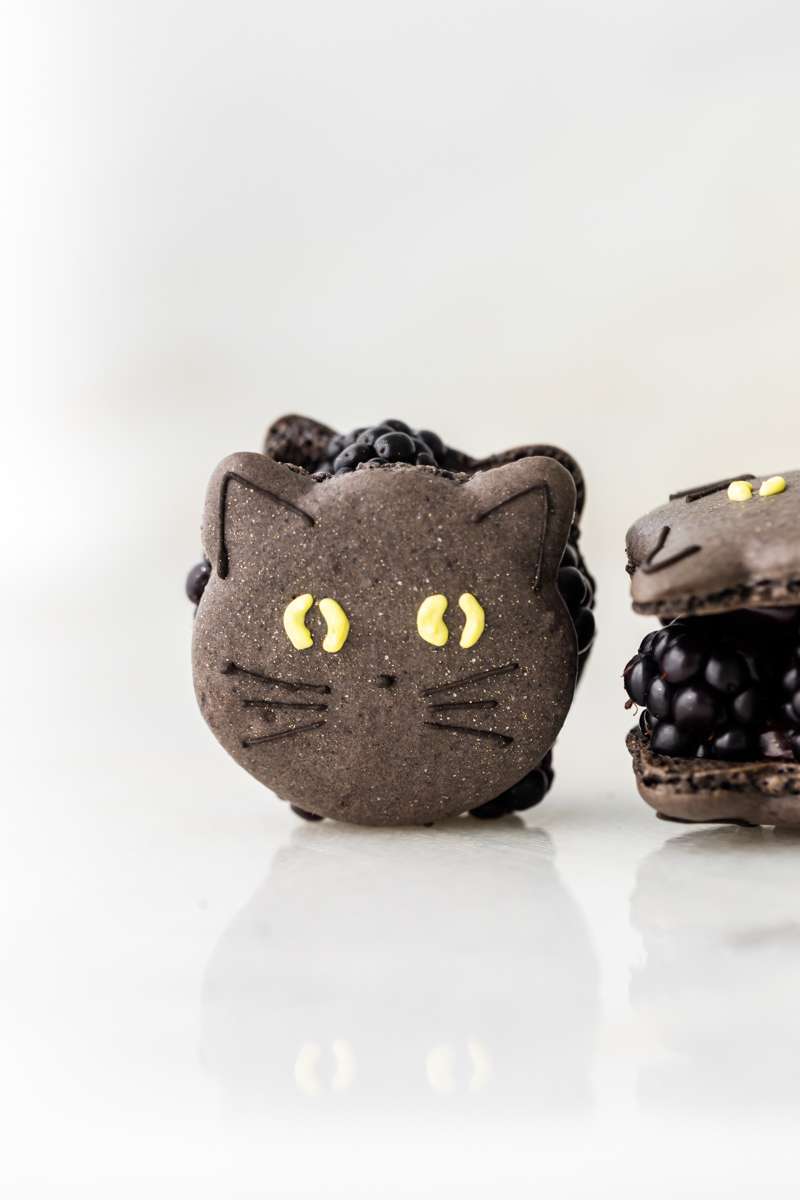 blackberry cat macarons for halloween, made with fresh blackberries, and dark chocolate ganache. Recipe and video.