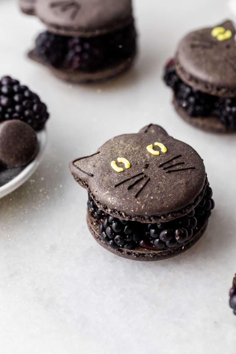 blackberry cat macarons for halloween, made with fresh blackberries, and dark chocolate ganache. Recipe and video.