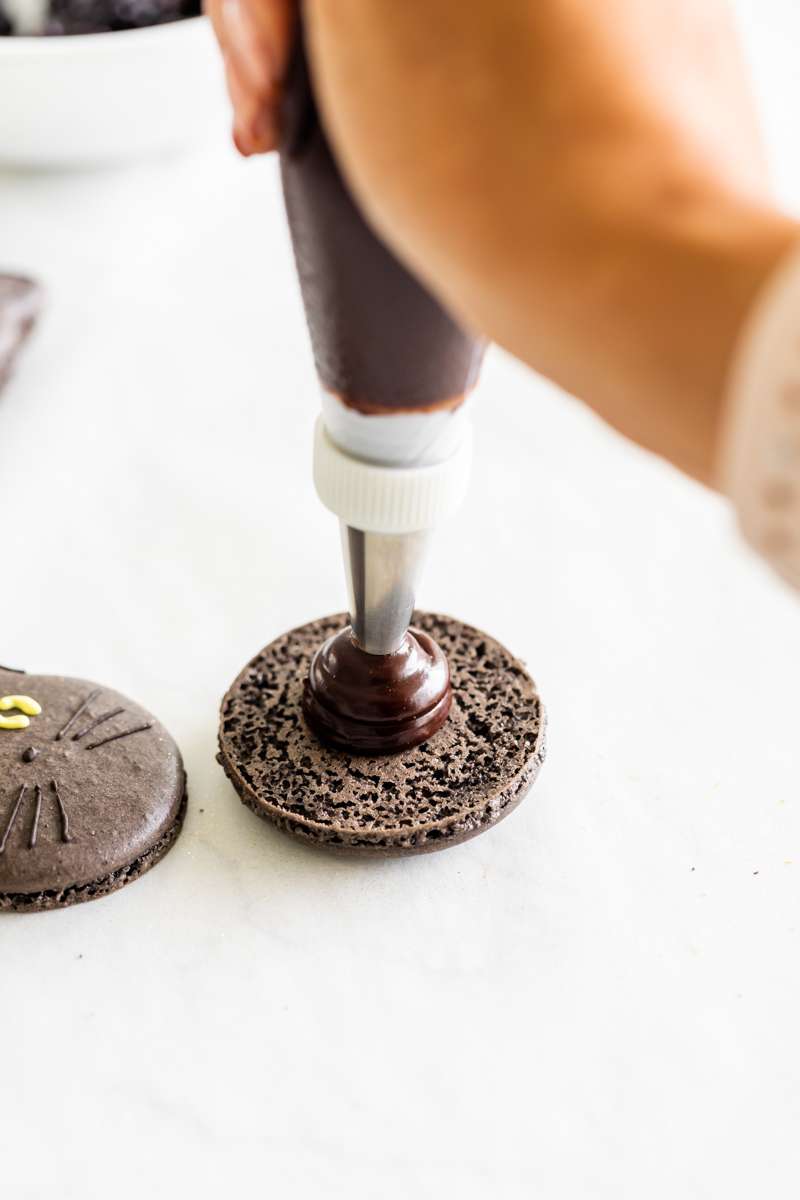 how to assemble blackberry chocolate macarons - step by step