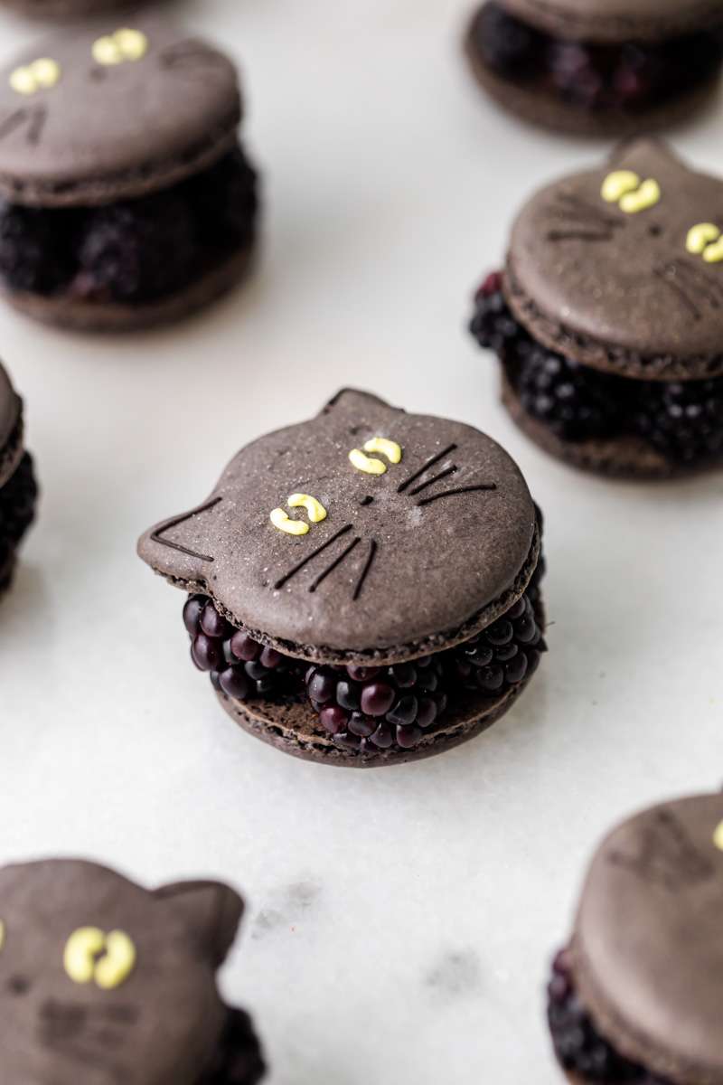 blackberry cat macarons for halloween, made with fresh blackberries, and dark chocolate ganache. Recipe and video.