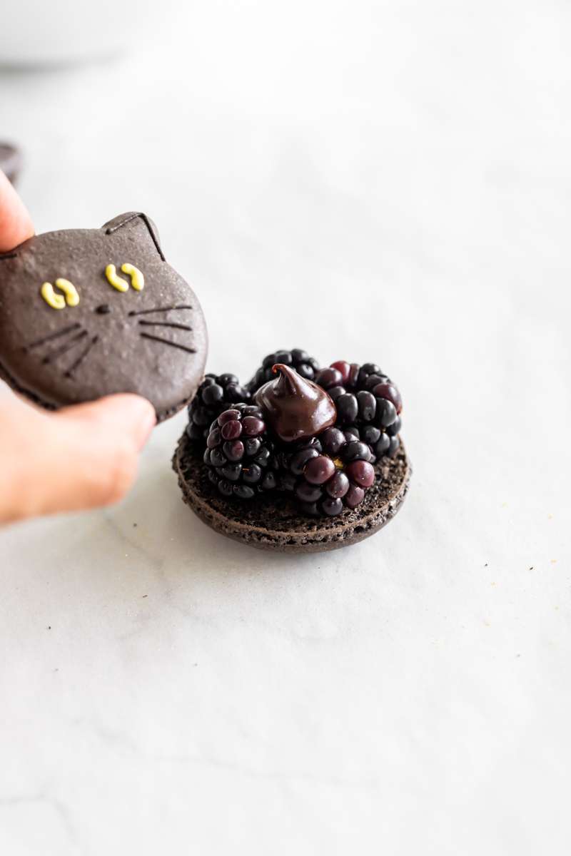 how to assemble blackberry chocolate macarons - step by step