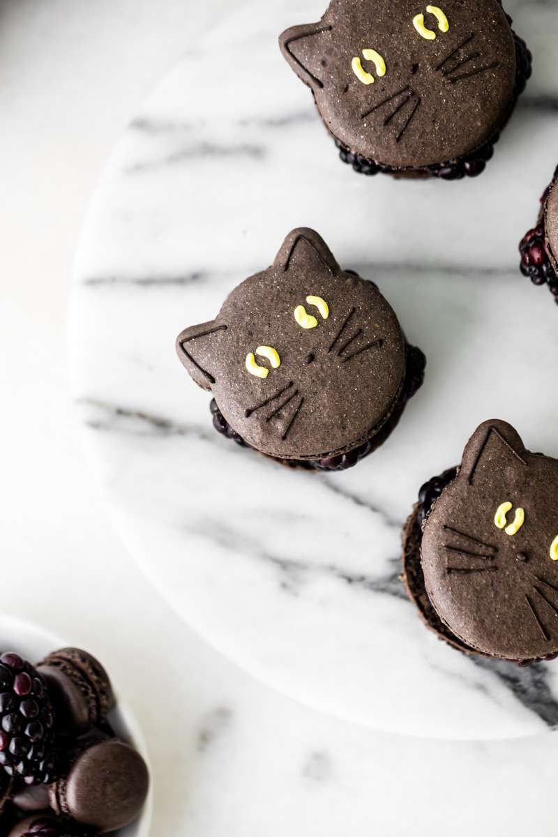 blackberry cat macarons for halloween, made with fresh blackberries, and dark chocolate ganache. Recipe and video.