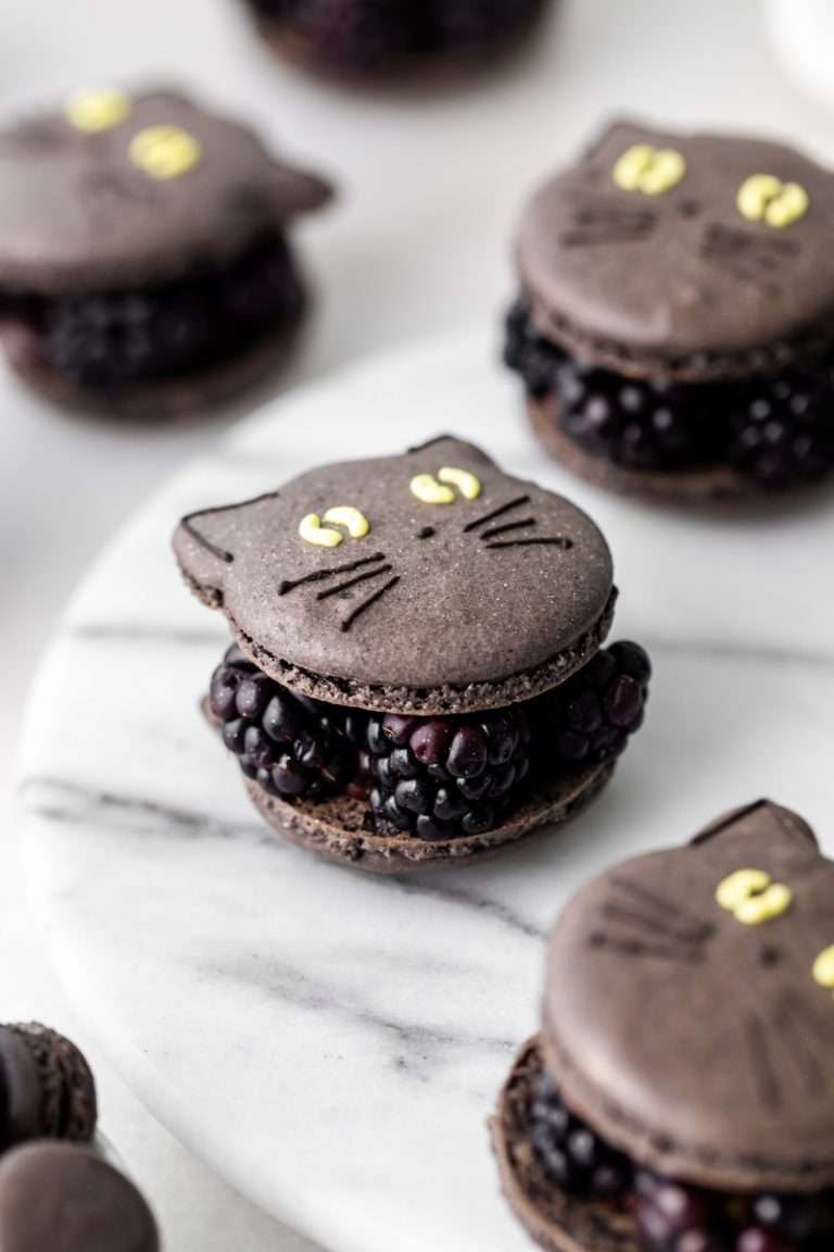 Blackberry Cat Macarons