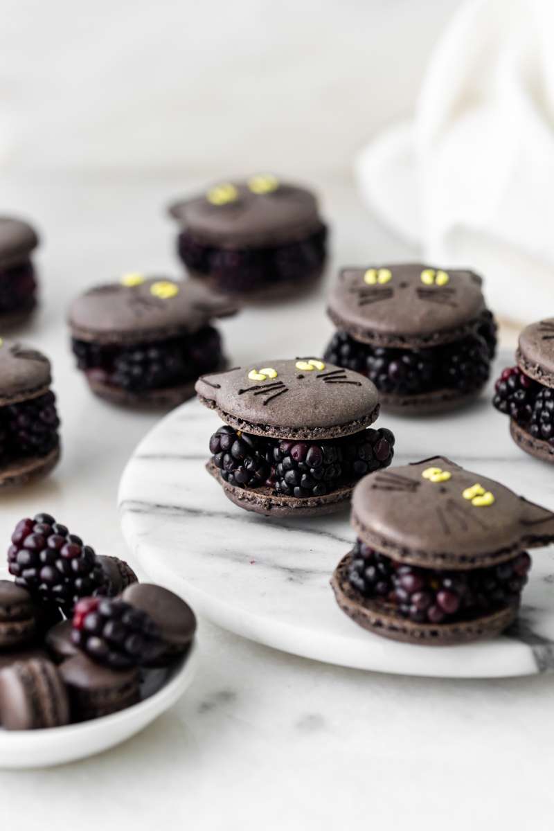 blackberry cat macarons for halloween, made with fresh blackberries, and dark chocolate ganache. Recipe and video.