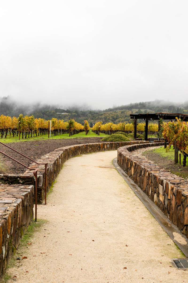 Wine Tasting at Robert Mondavi, Napa Valley