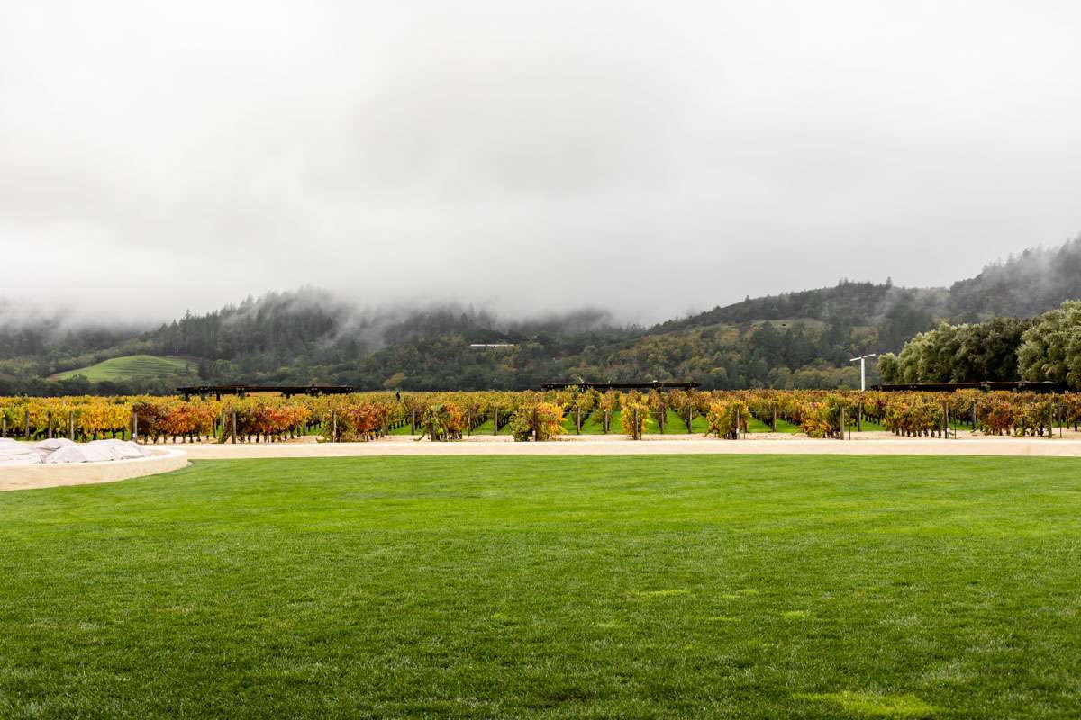 Wine Tasting at Robert Mondavi Winery, Napa Valley