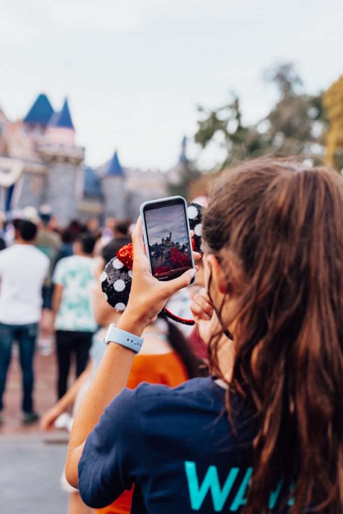 Disneyland - Posh Little Designs