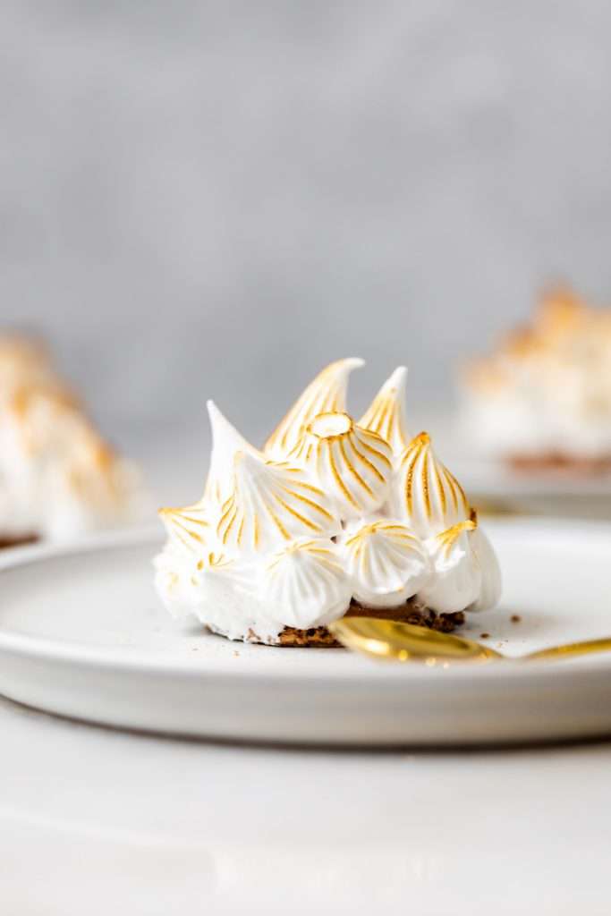 Baked Alaska Macarons, with a chocolate macaron shell base, raspberry ice cream core, topped with torched Italian meringue. A modern bite-sized spin on the classic Baked Alaska dessert. Dairy Free & Gluten Free