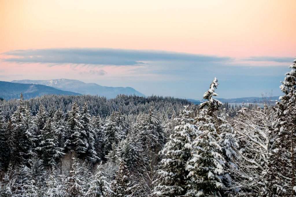 Winter scenery - Pacific Northwest