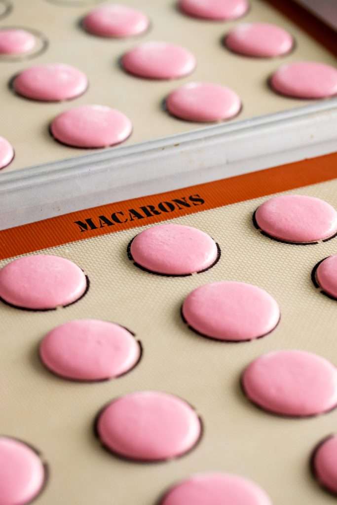 Pink French macarons with sakura cherry blossom filling