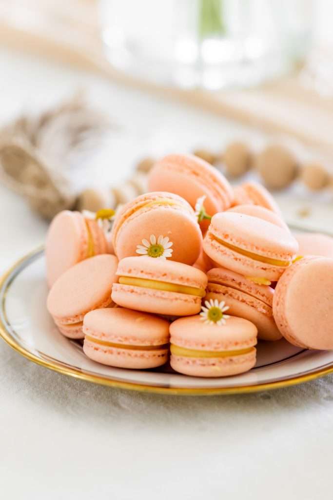 French macarons for kids retro birthday party.