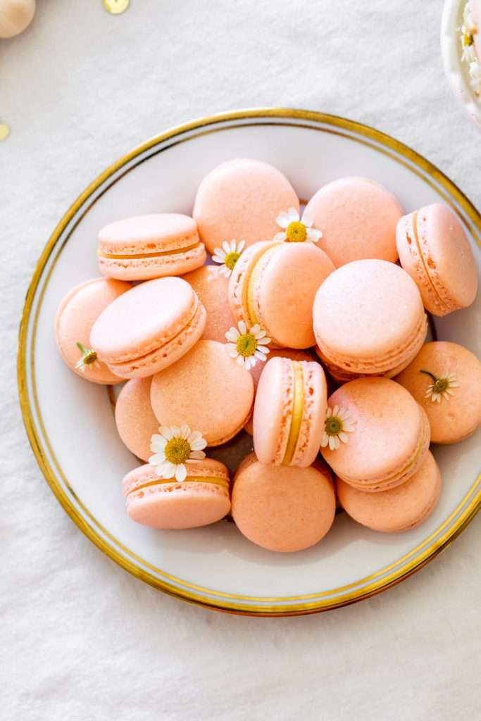French macarons for kids retro birthday party.
