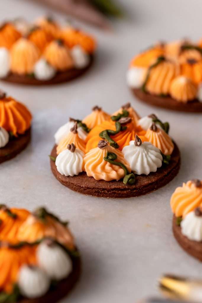 Cute chocolate cutout sugar cookies, decorated with easy pumpkin patch icing decorations. They're soft and delicious and perfect for fall gatherings, with a dairy free option included!