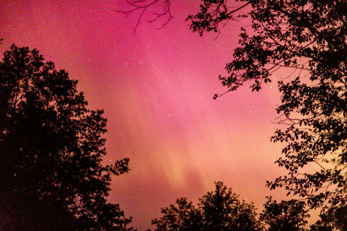 A photo of the Northern Lights from Northwest Washington on May 11th 2024. 