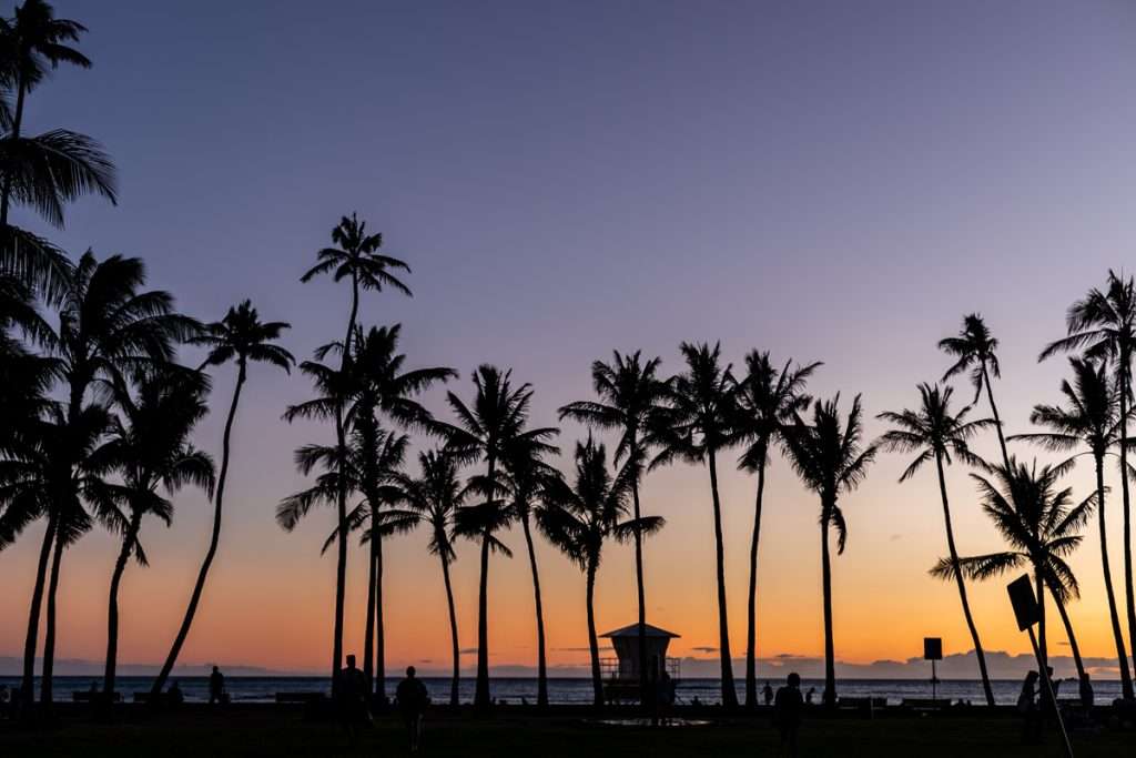 Sunset and palm trees in Oahu. Waikiki Beach, Honolulu Hawaii