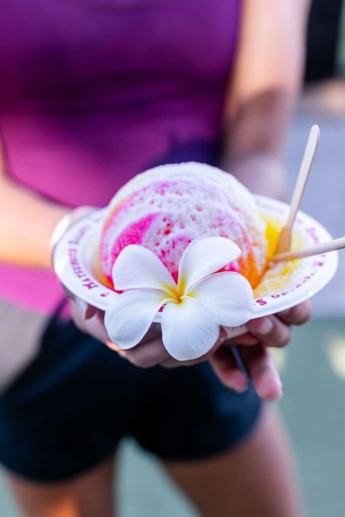 Matsumoto Shave Ice, the best shave ice in the North Shore, Oahu. Mango, coconut, lemon, with a snow cap + ice cream.