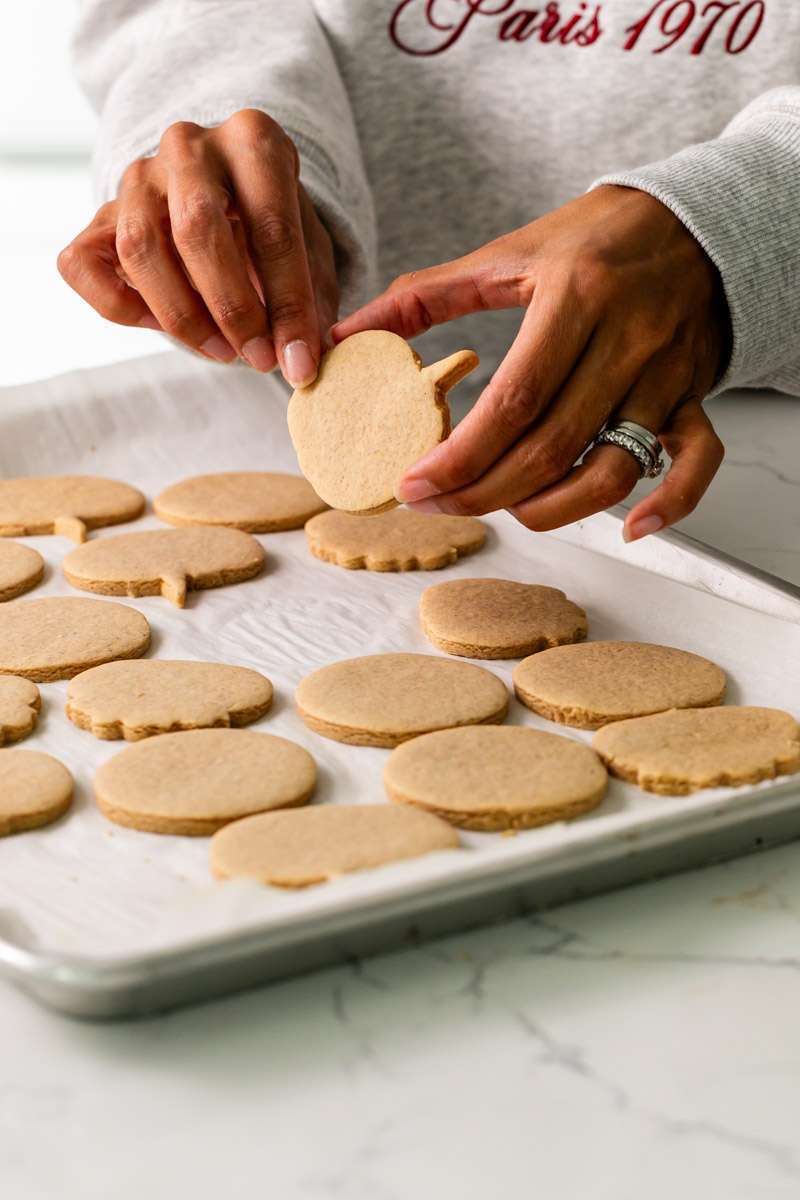 New downloadable recipe for Pumpkin Spice flavored sugar cookies, baked with pumpkin purée and pumpkin spice blend. They are cozy, flavorful and the perfect seasonal roll out cookie to decorate with your favorite royal icing or buttercream frosting. Dairy free option included!