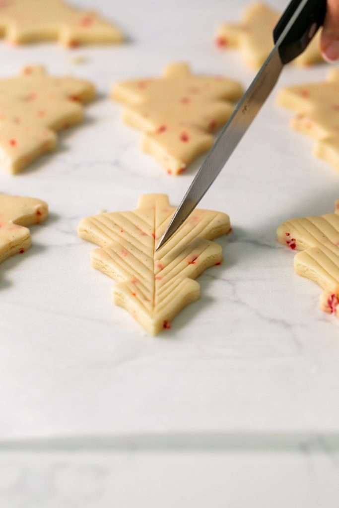Easy Christmas peppermint cookies with a simple cut design, dusted with powdered sugar, no icing