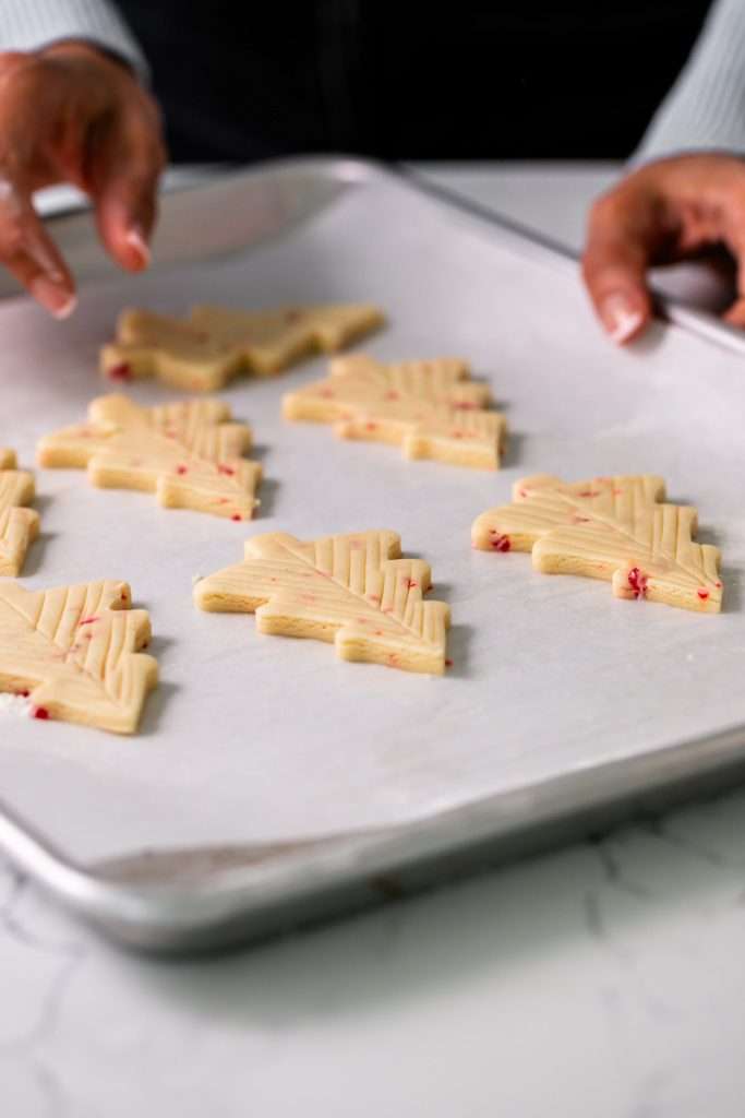 Easy Christmas peppermint cookies with a simple cut design, dusted with powdered sugar, no icing
