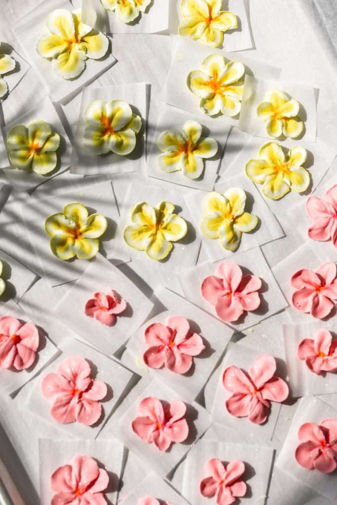 Piped hibiscus and plumeria royal icing transfers for a tropical themed teen birthday party.